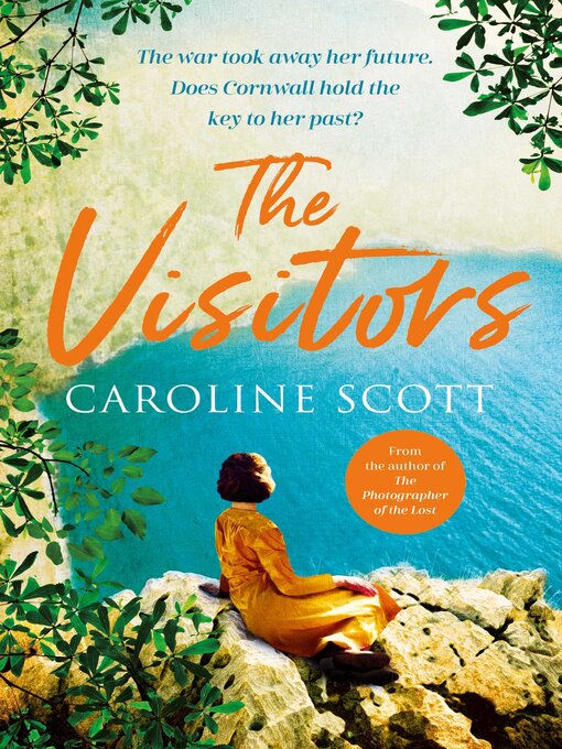 Cover image for The Visitors